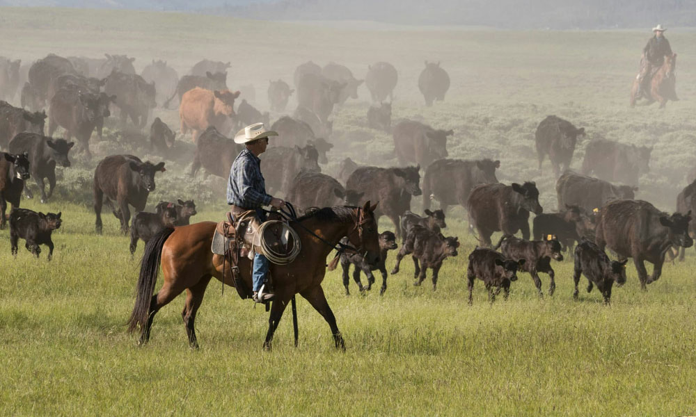 Marketing for Rural Businesses
